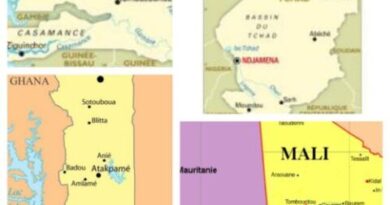 CONTENTIEUX HISTORIQUE FRANCE AFRIQUE, la collaboration